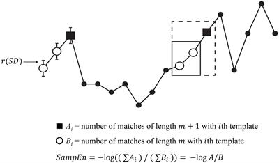 Optimizing the measurement of sample entropy in resting-state fMRI data